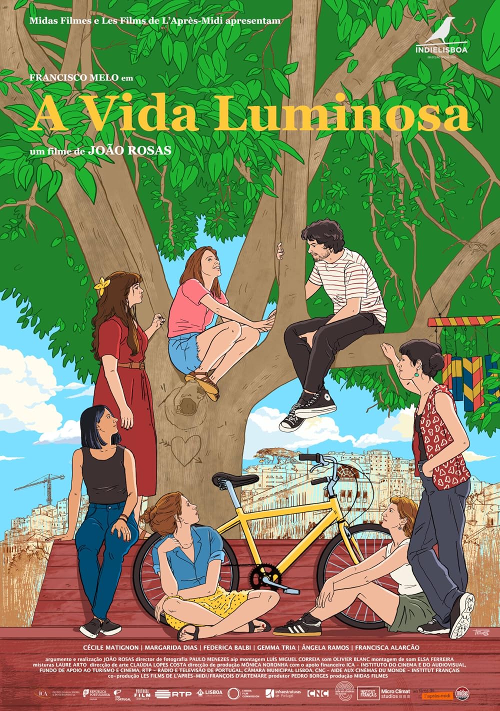 Cartaz A Vida Luminosa